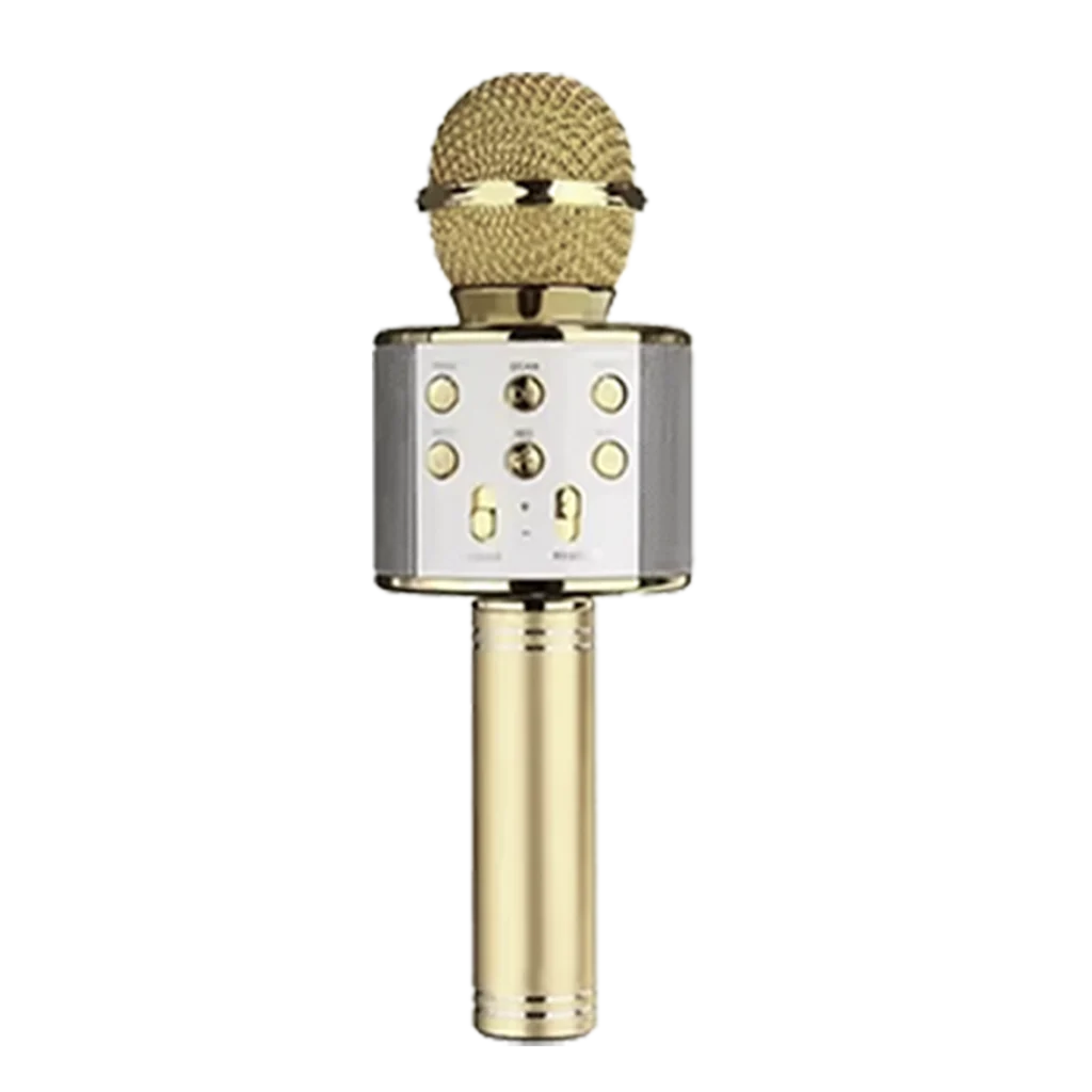 Karaoke Microphone