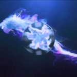 Blue Fire Dragon