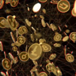 Coins