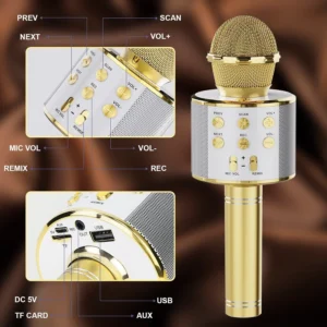 Karaoke Microphone-03