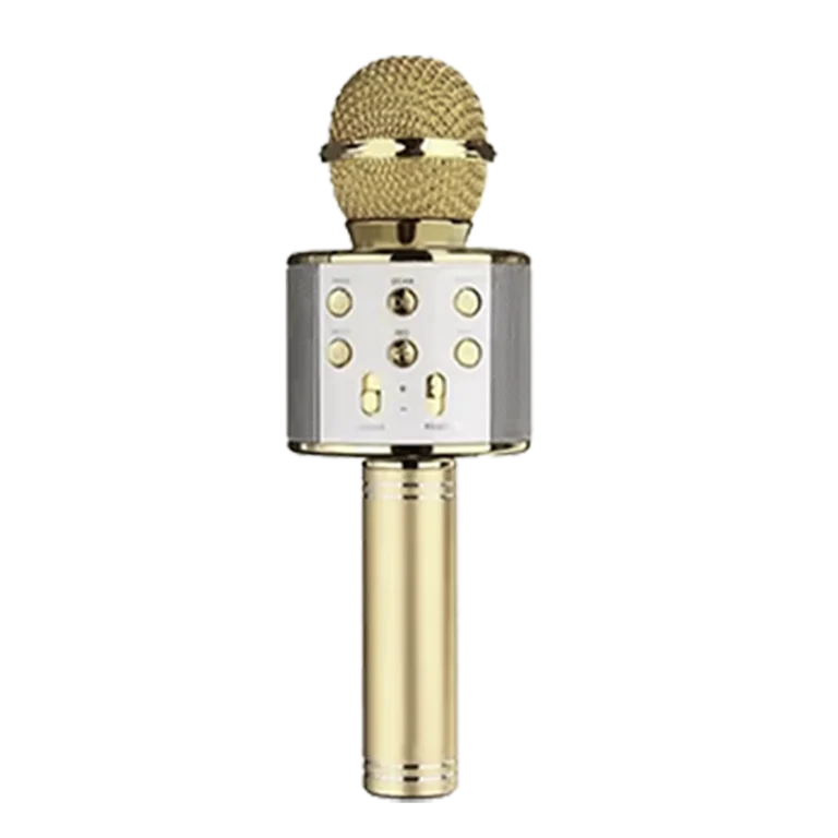 Karaoke Microphone