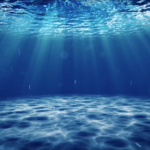 Ocean