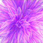 Purple Flower